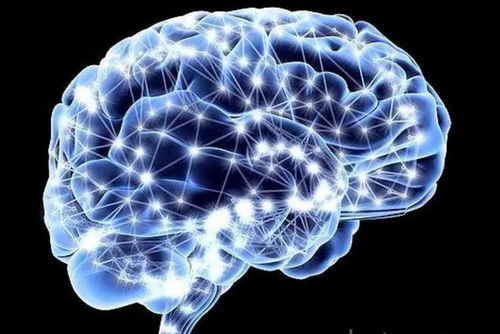 業(yè)余初段的傳奇 技術(shù)如何將普通人名字鐫刻在圍棋史冊(cè)